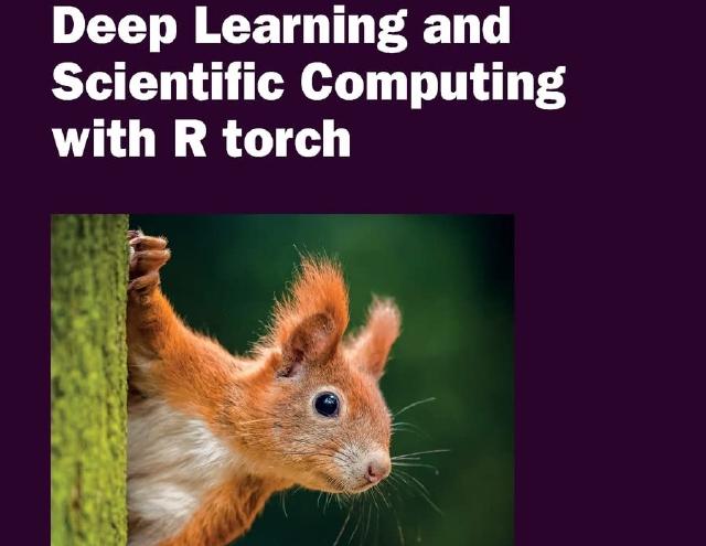 Deep Learning and Scientific Computing with R torch: the book