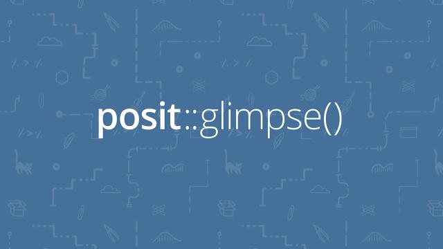 A blue background with a repeating pattern of white line drawings of various data-related icons, such as graphs, code symbols, and animals. Centered on the image is the white text 'posit::glimpse()'.