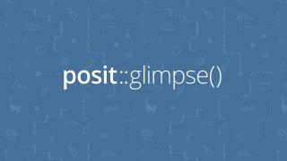 A blue background with a repeating pattern of white line drawings of various data-related icons, such as graphs, code symbols, and animals. Centered on the image is the white text 'posit::glimpse()'.