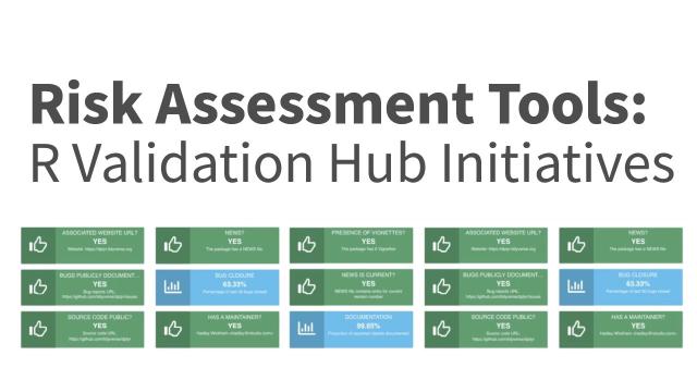 Marly Gotti | Risk Assessment Tools: R Validation Hub Initiatives | Posit