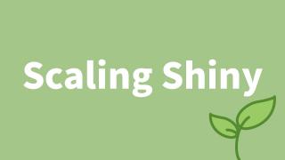 Damian Rodziewicz | Scaling Shiny to Thousands of Users | RStudio