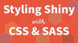Pedro Silva | Styling Shiny with CSS & SASS and Speeding Up Shiny Apps | Posit