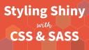 Pedro Silva | Styling Shiny with CSS & SASS and Speeding Up Shiny Apps | Posit