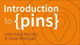 RStudio's {pins} package: what it is, how it works, and what it can do for you! || RStudio
