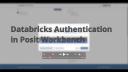 Databricks Authentication in Posit Workbench